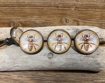 SET of 4 - Bumble Bee Glass Face Knob - Honeybee Cabinet Knob Drawer Pull - Metal and Glass Knob - Nature Decor