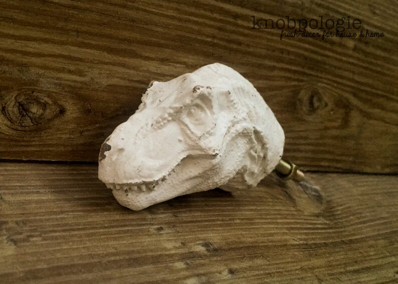 Ivory or Custom Color T Rex DINOSAUR Knob Jurassic Era Etsy