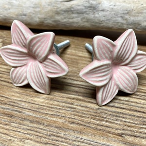 Set of 2 Light Pink Flower Knobs - Lily knob - Unique Ceramic Floral Knob - Pink Tropical Knob