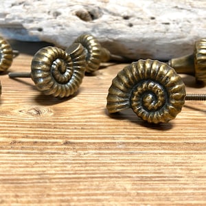 Puede incluir: Un juego de pomos de armario de color dorado antiguo con forma de conchas de amonites. Los pomos tienen un diseño en espiral detallado y son perfectos para añadir un toque de encanto costero a cualquier hogar.