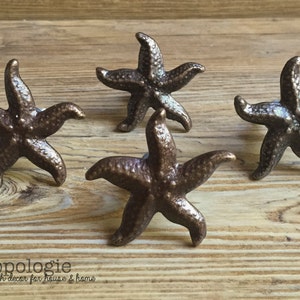Può includere: Quattro pomelli per armadi a forma di stella marina in bronzo. I pomelli sono disposti a semicerchio su una superficie in legno.