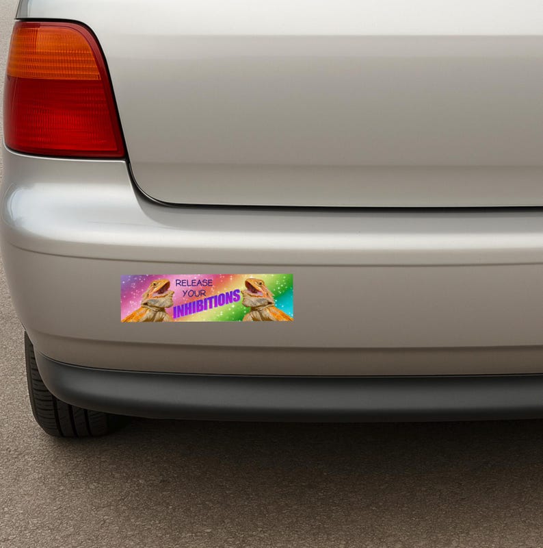 Funny Lizard Bumper Sticker Release Your Inhibitions Meme Decal Rainbow Sparkle Aesthetic Car Laptop Sticker Gift for Reptile Lovers Gen Z image 5