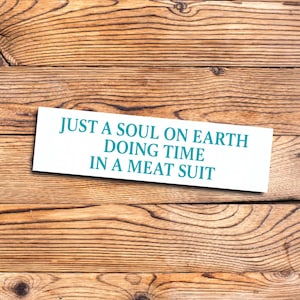May include: A white rectangular sign with teal text that reads: "JUST A SOUL ON EARTH DOING TIME IN A MEAT SUIT." The sign is placed on a wooden surface with a natural wood grain pattern.