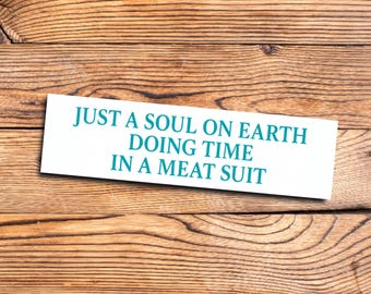 Funny Existential Crisis Bumper Sticker for Millennials and Gen Z with Unhinged Meme Irony Dark Humor and Internet Core Aesthetic Vibes