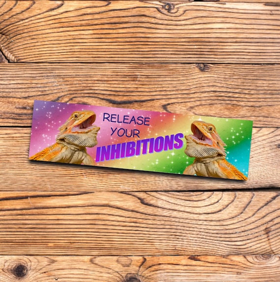 Funny Lizard Bumper Sticker Release Your Inhibitions Meme Decal Rainbow Sparkle Aesthetic Car Laptop Sticker Gift for Reptile Lovers Gen Z