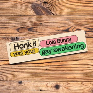Funny bumper sticker for millennials who loved Space Jam and Lola Bunny Y2K gay awakening LGBTQ meme vinyl sticker with 90s nostalgia vibes