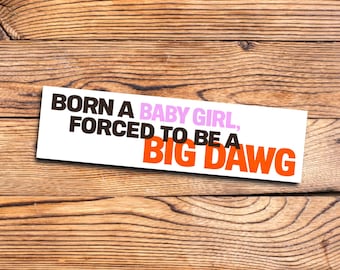 Funny bumper sticker Vintage vibes Gen Z Aesthetic Silly Car Decor Baby girl Millennial Meme retro design sarcastic Big Dawg car decal
