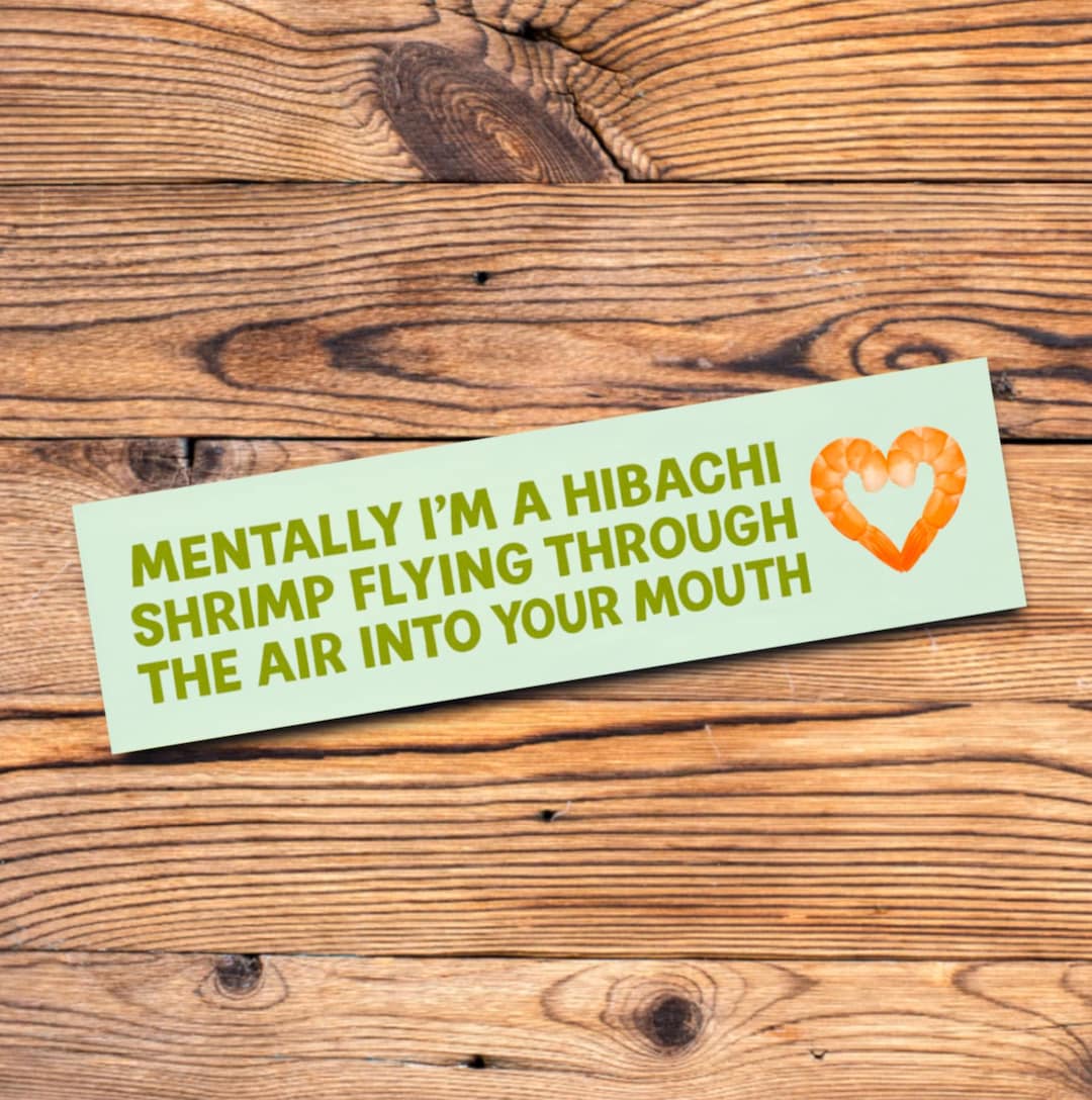 Funny Bumper Sticker Silly Sticker Internet Meme Humor for Gen Z Weird ...