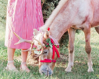 NEW ARRIVAL! Horse Pony halter Reindeer antlers Deer Antlers  3D Printed (Ultra Light Weight Plastic) horned halter attachment Antlers