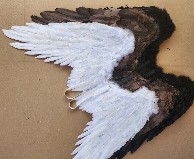 May include: A pair of angel wings with white and brown feathers. The wings are attached to each other with a black strap.