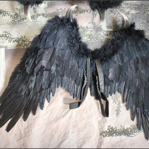 May include: Black feather wings with a faux fur trim and black straps. The wings are attached to each other with a black strap.