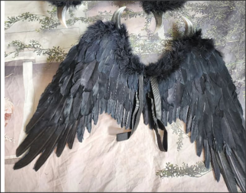 May include: Black feather wings with a faux fur trim and black straps. The wings are attached to each other with a black strap.