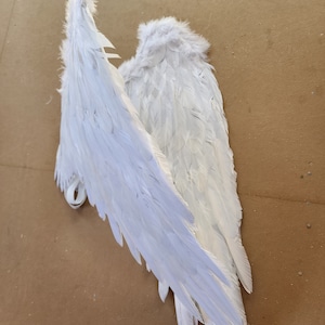 May include: A pair of white angel wings made of feathers. The wings are attached to each other at the top and have a white ribbon at the bottom.