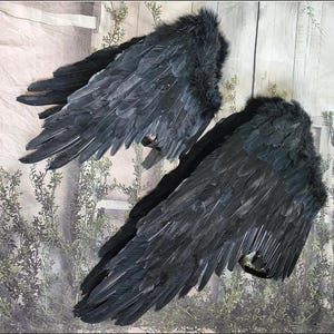 May include: A pair of black crow wings with feathers. The wings are made of faux feathers and are attached to a wire frame.