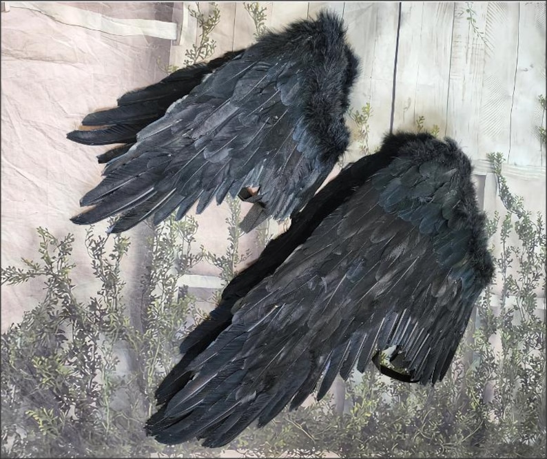 May include: A pair of black crow wings with feathers. The wings are made of faux feathers and are attached to a wire frame.