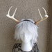 see more listings in the ANTLERS section