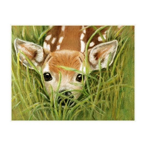 Fawn Surprise Cards and Prints from Original Pastel Painting print with white mat