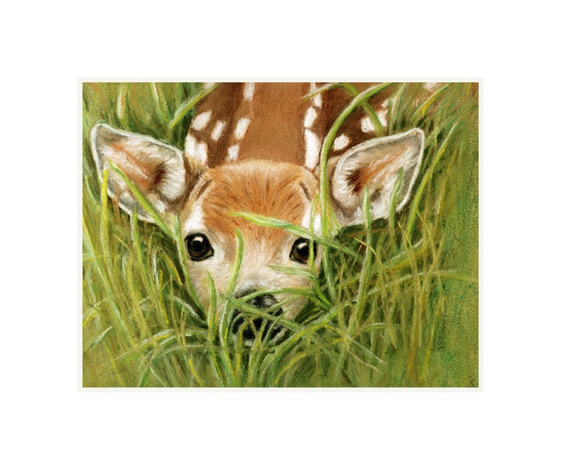 Fawn Surprise Cards and Prints from Original Pastel Painting print with white mat