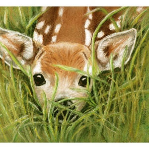 Fawn Surprise Cards and Prints from Original Pastel Painting image 2