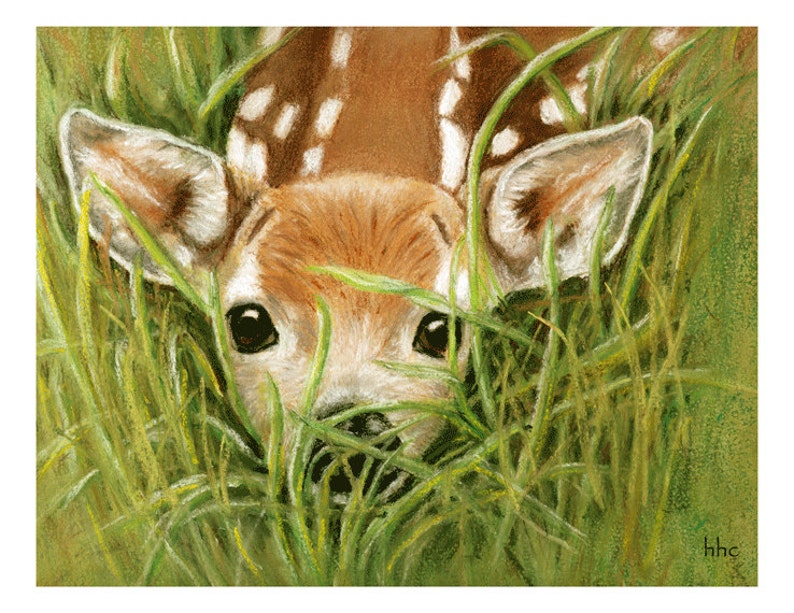 Fawn Surprise Cards and Prints from Original Pastel Painting image 2