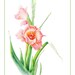 see more listings in the Botanical Cards & Prints section