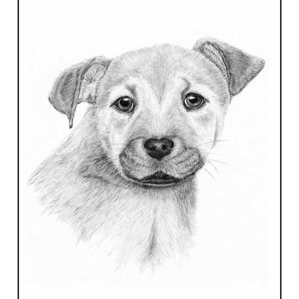 Mutt Pup Cards & Prints from Original Graphite Drawing