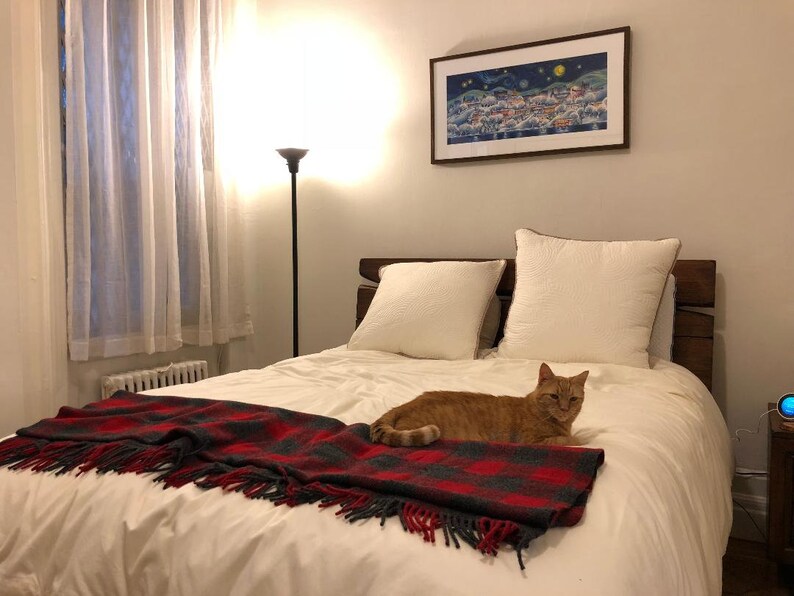 Starry Night Cornell University Wall Art Ithaca Scene Etsy