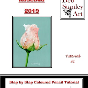 Pode incluir: Um tutorial passo a passo com lápis de cor para desenhar um botão de rosa rosa com gotas de água, intitulado "Rosebud 2019" por Deb Stanley CPCAS. O tutorial inclui uma ilustração de abelha e o site www.debstanleyart.co.uk.