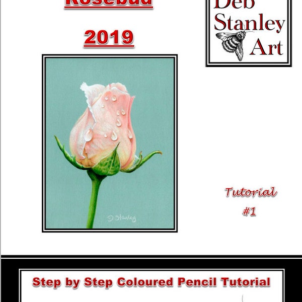 Rosebud 2019 Coloured Pencil Tutorial by Deb Stanley Art