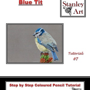 May include: A step-by-step coloured pencil tutorial for drawing a blue tit bird. The tutorial is by Deb Stanley CPCAS and includes a bee illustration. The website address is www.debstanleyart.co.uk.