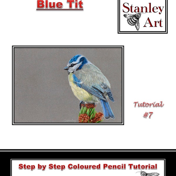 Blue Tit Coloured Pencil Tutorial By Deb Stanley Art