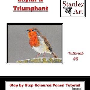 Joyful & Triumphant Coloured Pencil Tutorial By Deb Stanley Art