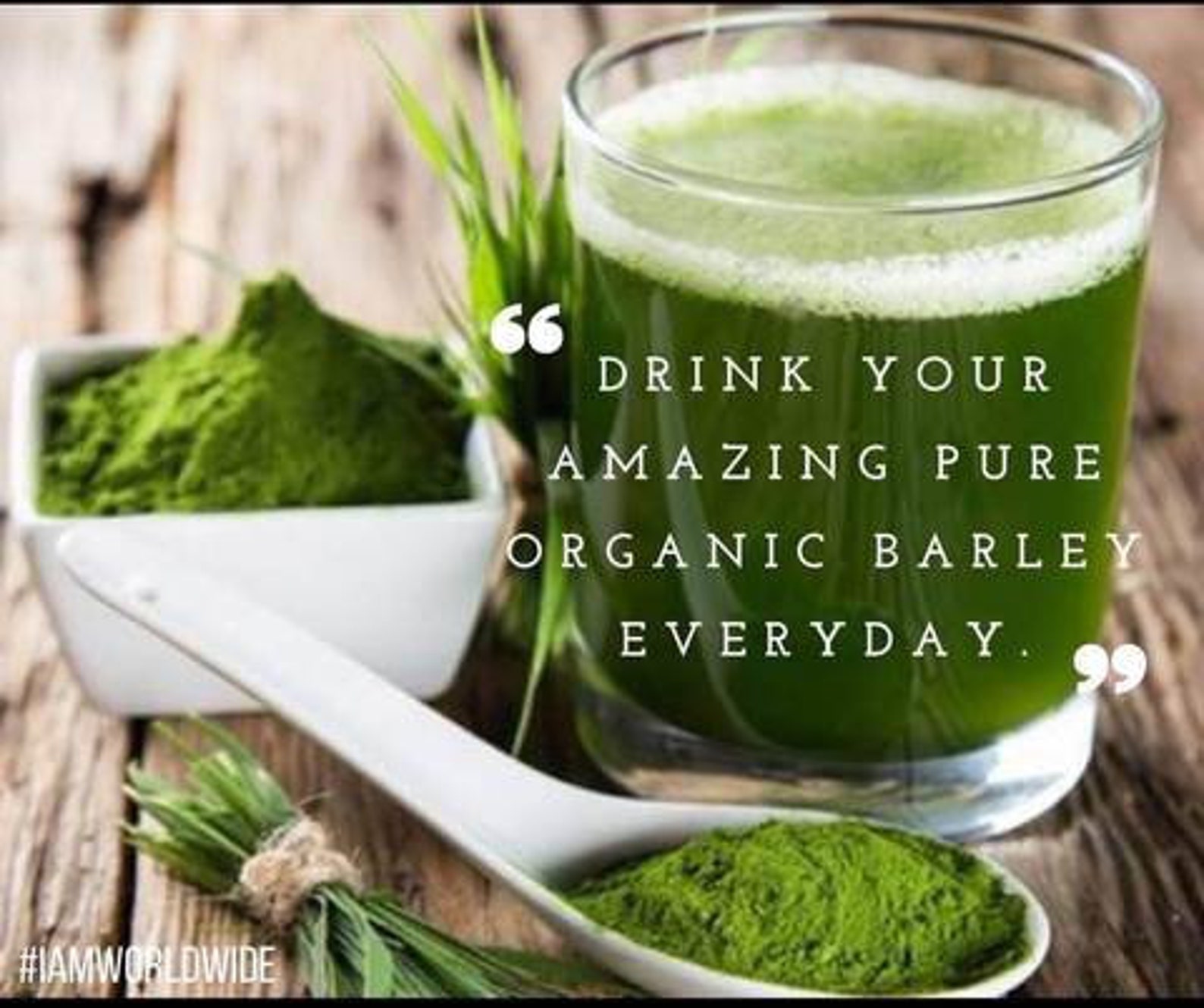 Amazing Pure Organic Powdered Barley / IAM Worldwide Barley Etsy