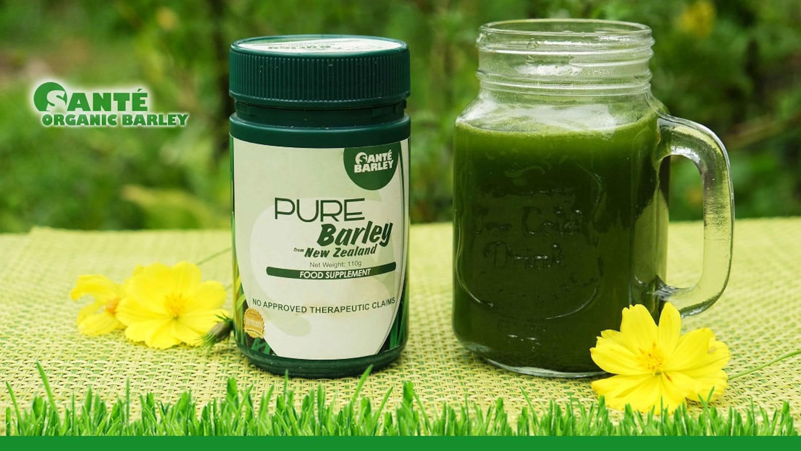 Sante Pure Powdered Barley in Canister from New Zealand Food Etsy