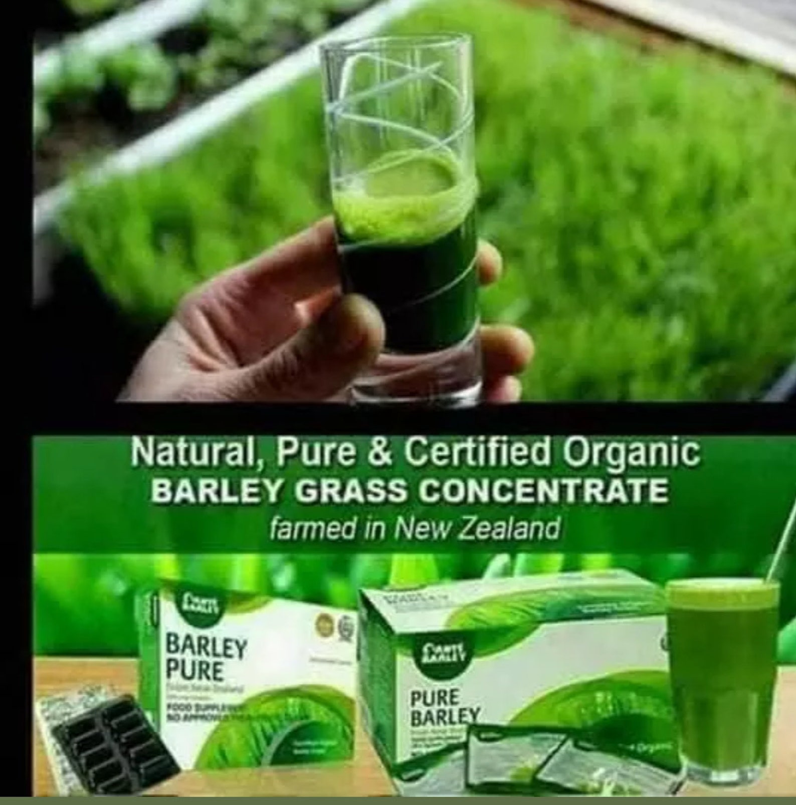 Sante Pure Barley Powdered Juice With Stevia 30sachets X 3 Etsy