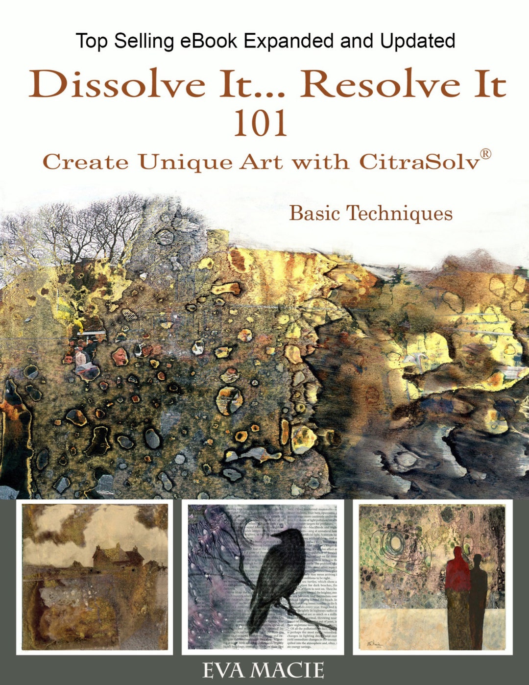 Dissolve It Resolve It Expanded and Updated. the Citrasolv® Basic  Techniques Workshop 