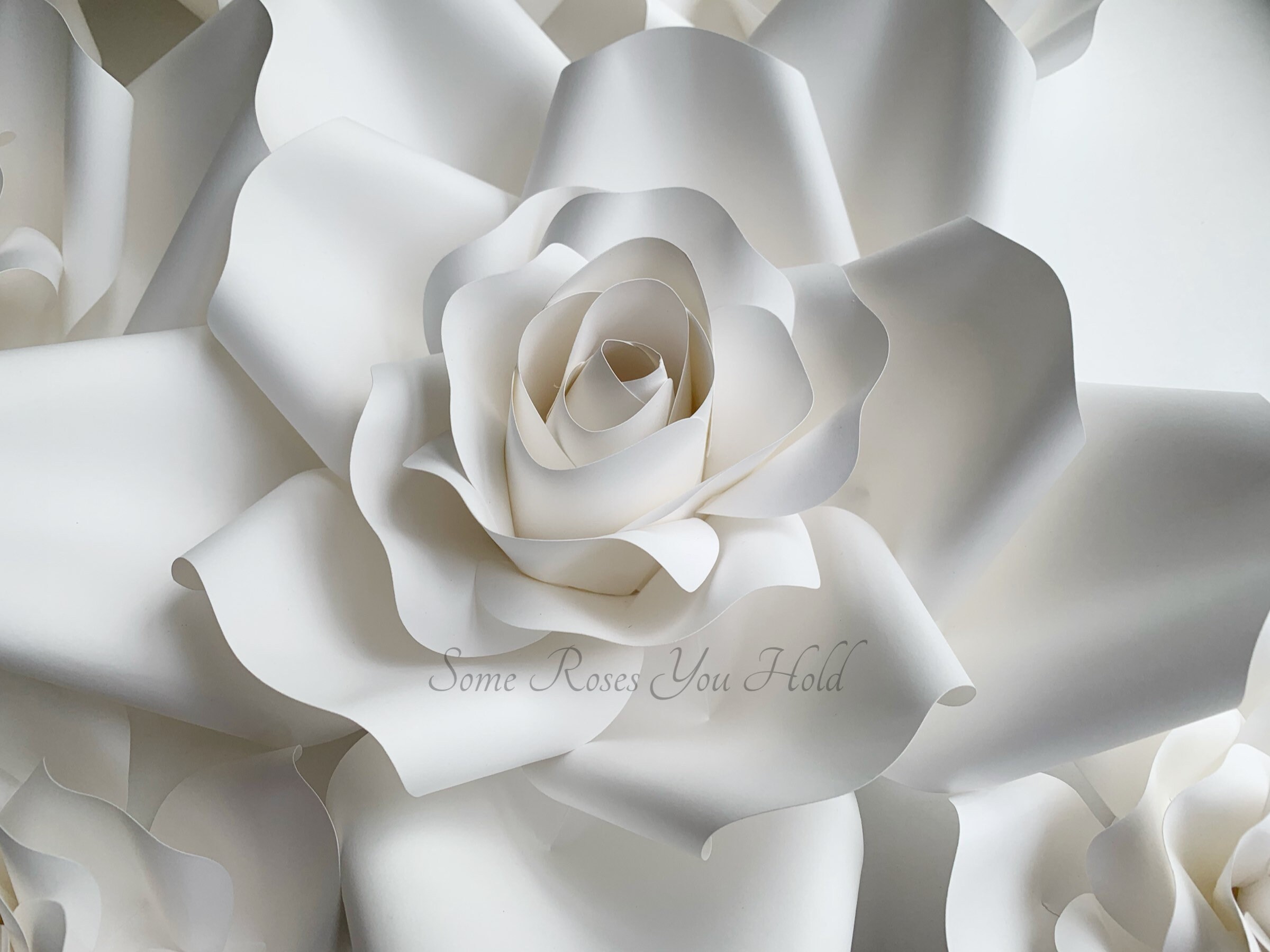 White Paper Flowers White Paper Flowers Wall Decor 10pc Etsy