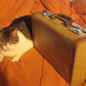 Rare Vintage Small Cute Adorable Personal Overnight Weekender Travel Magical Cat Suitcase Luggage by Cheney of England.  **FREE Shipping**