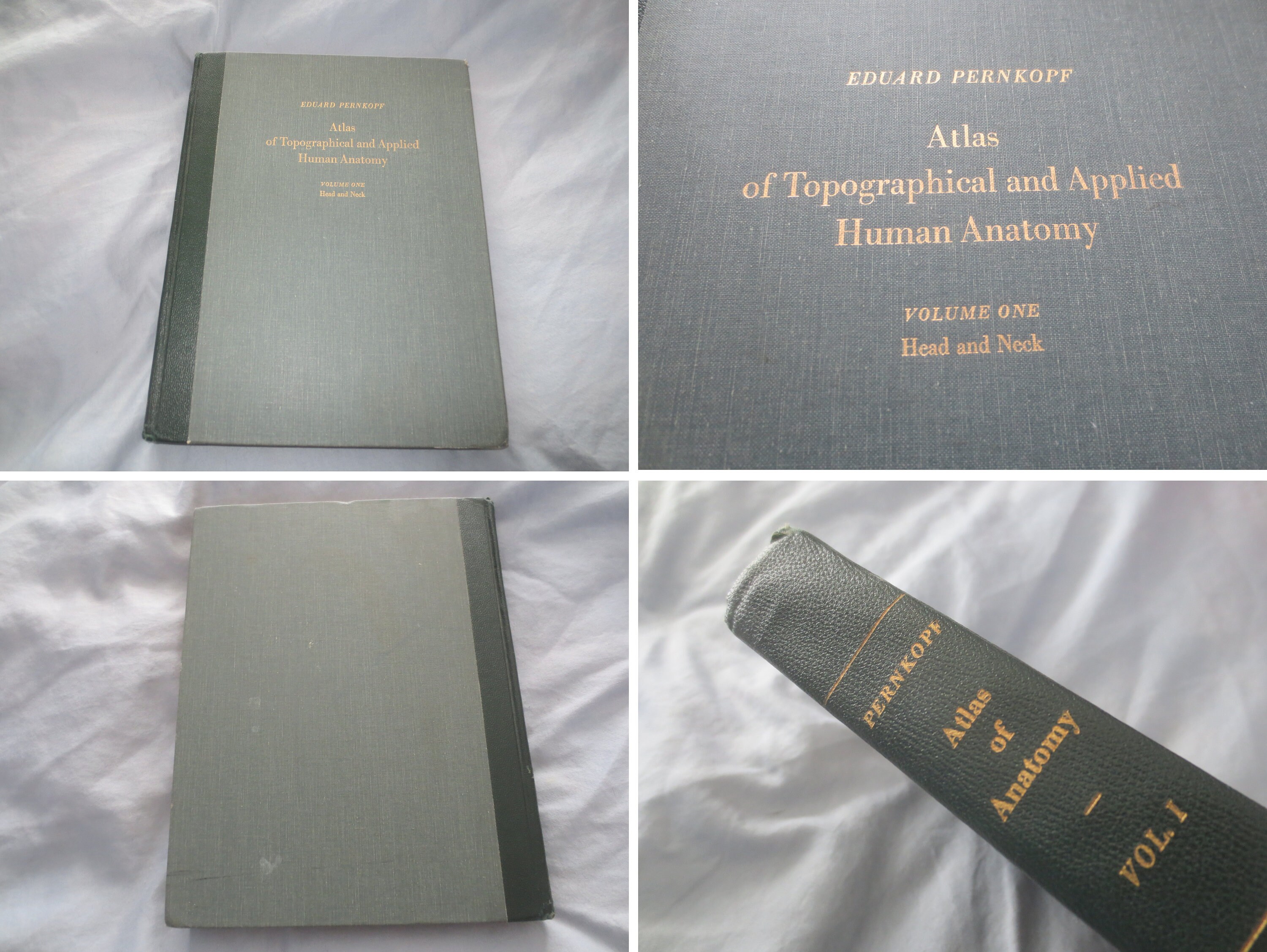 健康・医学 Pernkopf Anatomy volume I Head and Neck s-l400.jpg