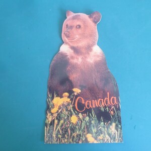 Toute nouvelle carte postale vintage amusante, amusante et rétro, mignonne, adorable, ours brun du Canada, souvenirs de voyage.  **Livraison GRATUITE**
