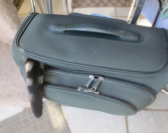 Brand New Vintage Samsonite Pull Up Handle Rolling Carry On Cat Smuggling Tote Suitcase Luggage Overnight Bag.  **FREE Shipping**