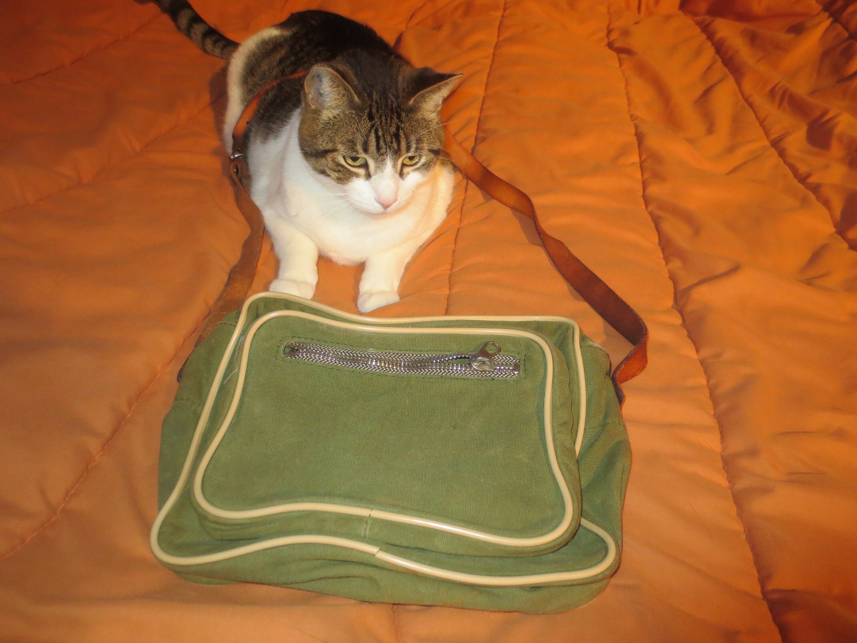 New look khaki bag sale