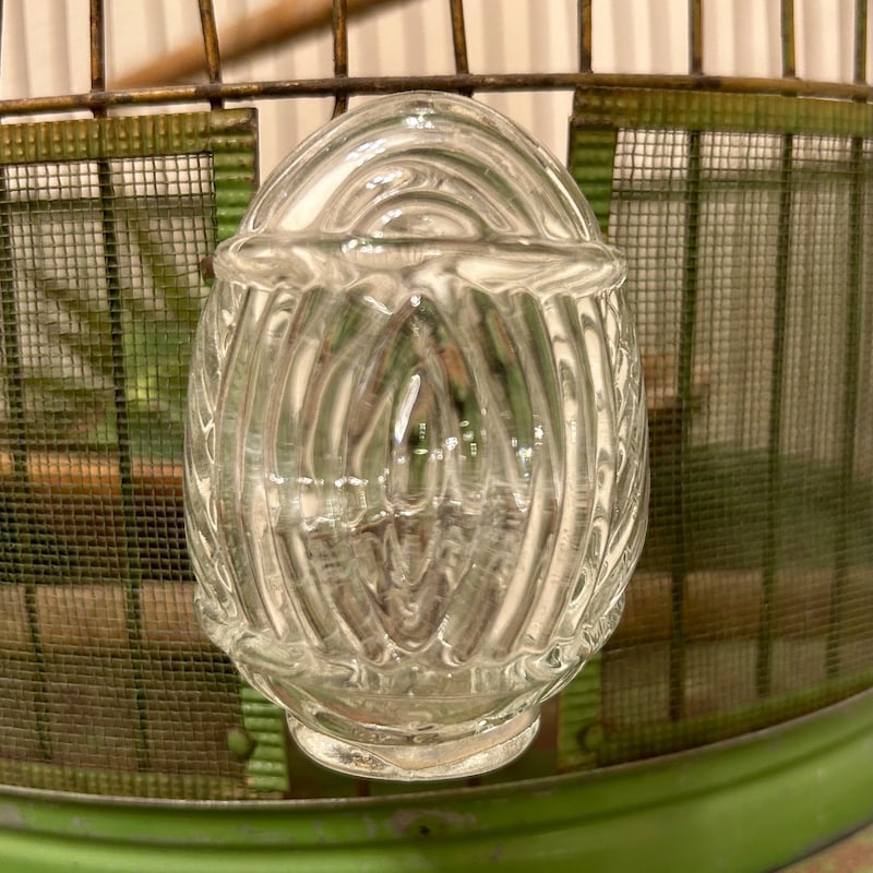 Curated visual reference: Antique Bird Cage Photo Inspiration