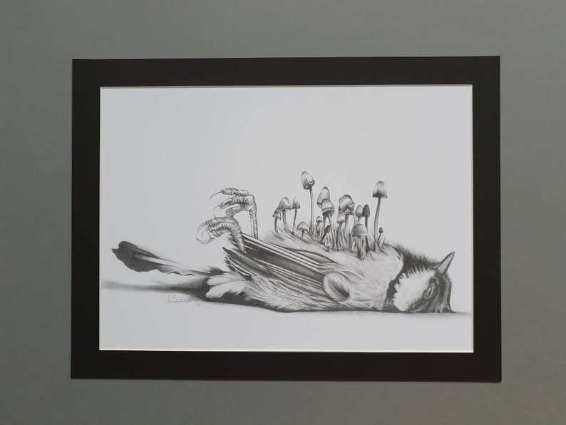 Beautiful Death Blue Tit with Toadstools Large Mount Art Print