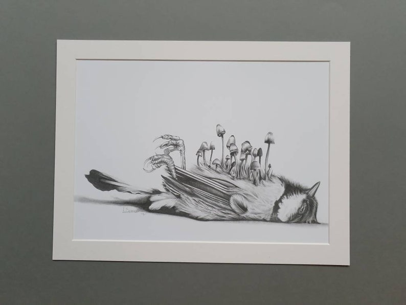 Beautiful Death Blue Tit with Toadstools Large Mount Art Print