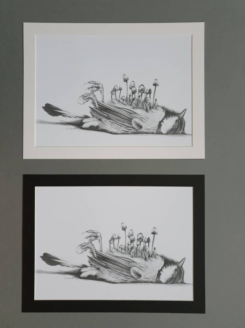 Beautiful Death Blue Tit with Toadstools Large Mount Art Print