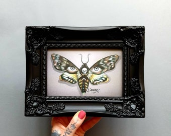 Death Head Hawk Moth Print in Black Gothic Ornate Frame