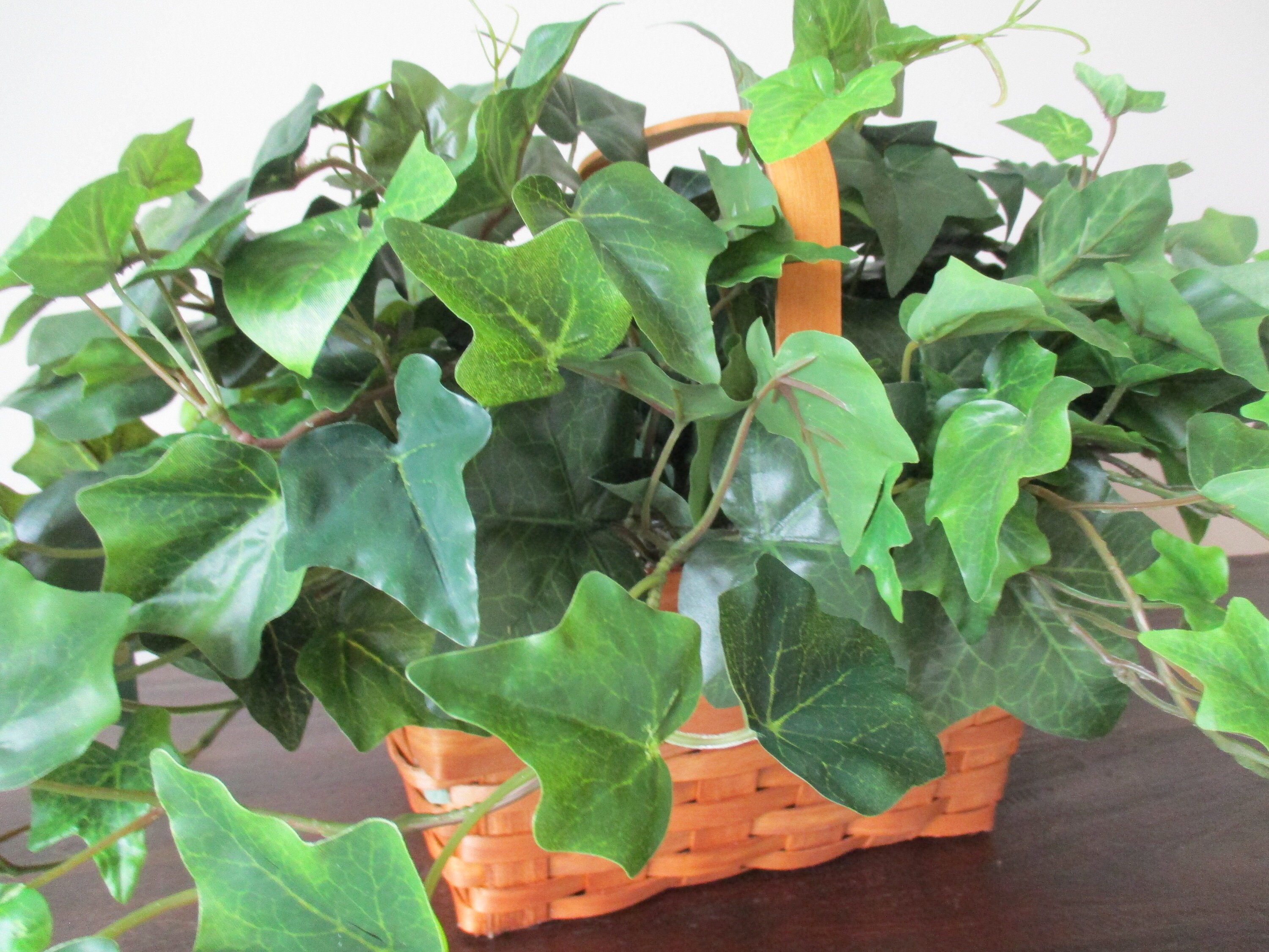 Large Realistic Ivy Silk Plant in Brown Basket Cottage Style Etsy