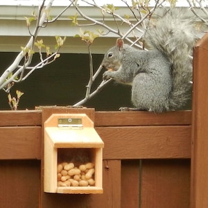CEDAR SQUIRREL FEEDER