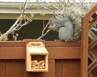 CEDAR SQUIRREL FEEDER